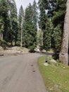 Sinthan Pass Kashmir Connecting Kashmir Valley With Kishtwar