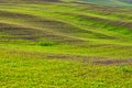 Sinuous hills in tuscany countryside Italy