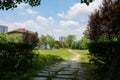 Sinuous path in grassy lawn before fenced building in sunny summer