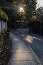 A sinuous path with leaves and trees at autumn