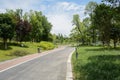 Sinuous path in park on sunny summer day