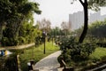 Sinuous path by rivulet in bamboo park on sunny winter day