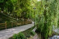 Sinuous path in verdant spring Royalty Free Stock Photo