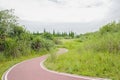 Sinuous rural red-painted path in cloudy summer afternoon Royalty Free Stock Photo