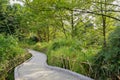 Sinuous shady footwalk on sunny day Royalty Free Stock Photo