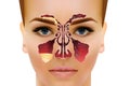 Sinusitis. Healthy and inflammation nasal sinus vector illustration