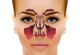 Sinusitis. Healthy and inflammation nasal sinus vector illustration