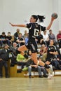 Siofok - Budapest handball match