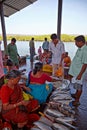 SIOLIM, GOA, INDIA - CIRCA DECEMBER 2013: Sale of fish and seafood on fish market. Shopping row.