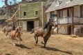 Sioux City Park horse riding