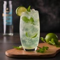 Refreshing Mint Lime Drink Royalty Free Stock Photo