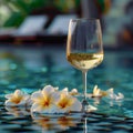 Sip of summer white wine, frangipani by the pool Holiday bliss