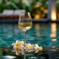 Sip of summer white wine, frangipani by the pool Holiday bliss