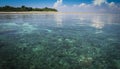 Sipadan island coral reef sabah borneo