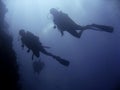 Sipadan scuba divers reef wall turtle Royalty Free Stock Photo