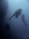 Sipadan scuba divers wall dive borneo Royalty Free Stock Photo