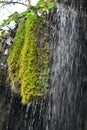 Sipote waterfall from Romania