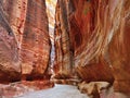 Siq gorge in Petra, Jordan