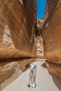 The siq path in nabatean city of petra jordan