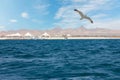 Sir Bani Yas island sea view, Abu Dhabi Royalty Free Stock Photo