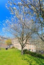 The Sir Duncan Rice Library of University of Aberdeen.