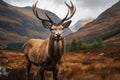 Sir Edwin Landseer's Iconic Wildlife Painting. Generative By Ai