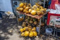Sir Seewoosagur Ramgoolam , Mauritius - 03.11.2021: A bunch of yellow fresh coconuts is on sale at fruit market