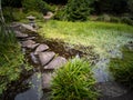 Sir Thomas and Lady Dixon Park in Belfast, Northern Ireland, United Kingdom. Stone path on pond in forest