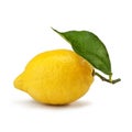 Siracusa lemon IGP isolated on white background
