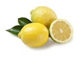 Siracusa lemon IGP isolated on white background