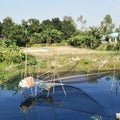 Sirajganj city nets for fishing