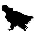 Sirena bird silhouette ancient mythology fantasy Royalty Free Stock Photo