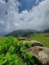 Siri Paye Meadows, Kaghan Valley, Pakistan Ã°Å¸â¡ÂµÃ°Å¸â¡Â°