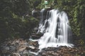 Sirimane Falls in Sringeri, Karnataka, India. Beautiful flowy milky waterfall. Royalty Free Stock Photo