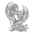 Sirin - half-woman half-bird in Russian myths and fairy tales. Singing and laughing. Intricate linear drawing isolated