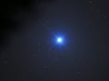 Sirius star and Canis major constellation on night sky