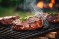 Sirloin steak with spices on a barbecue in nature, summer picnic