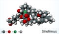 Sirolimus or rapamycin molecule. is a macrolide compound with immunosuppressant functions. Molecule model