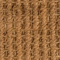 Sisal carpet