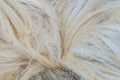 Sisal fiber texture abstract background. Sisal fiber products