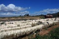 Sisal Processing Plant Royalty Free Stock Photo