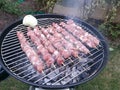 Sish kebab Royalty Free Stock Photo