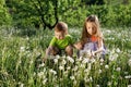 Dandelion field white girl boy happy little baby green meadow yellow flowers dandelions nature park garden two family sister broth Royalty Free Stock Photo