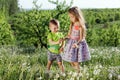 Dandelion field white girl boy happy little baby green meadow yellow flowers dandelions nature park garden two family sister broth Royalty Free Stock Photo