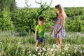 Dandelion field white girl boy happy little baby green meadow yellow flowers dandelions nature park garden two family sister broth Royalty Free Stock Photo