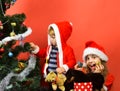 Sister and brother siblings decorate Christmas tree Royalty Free Stock Photo