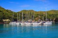 Yacht Parking in the Bay of the Island