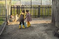 Sisters with a bucket full of grain feed for birds feed hen at the chicken coop Royalty Free Stock Photo