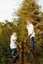 Sisters swarms up ladder on playground. Royalty Free Stock Photo