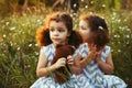 Sisters twin toddlers kissing and laughing in the summer outdoors. Curly cute girls. Friendship in childhood. Warm sunligh Royalty Free Stock Photo